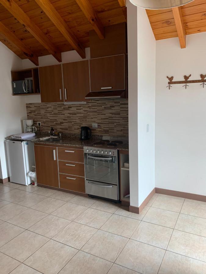 Departamento San Martin De Los Andes Centrico Y Moderno Bagian luar foto